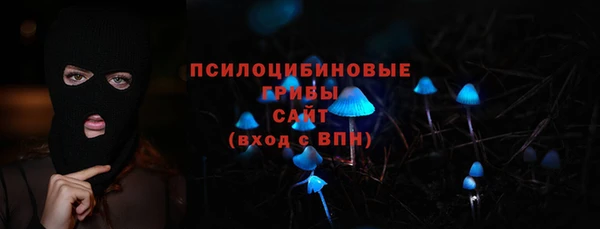 крисы Алзамай