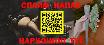 амф Кингисепп