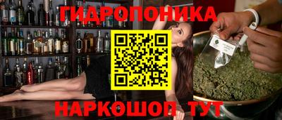 амф Кингисепп