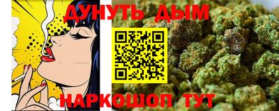 шишки Кимры