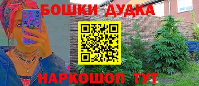 амф Кингисепп