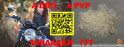 амф Кингисепп
