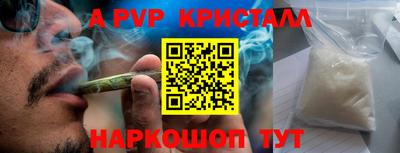 амф Кингисепп