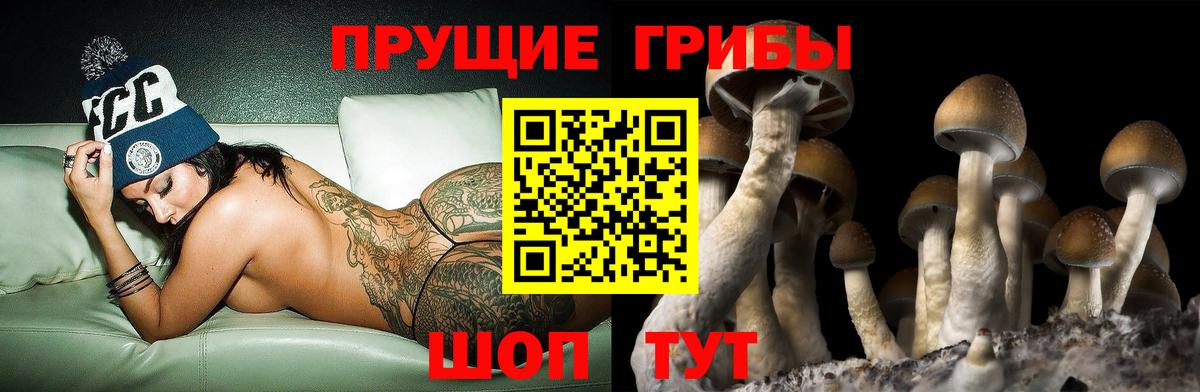 Крымск  Псилоцибиновые грибы прущие грибы  Псилоцибиновые грибы Cubensis  Вход с VPN 