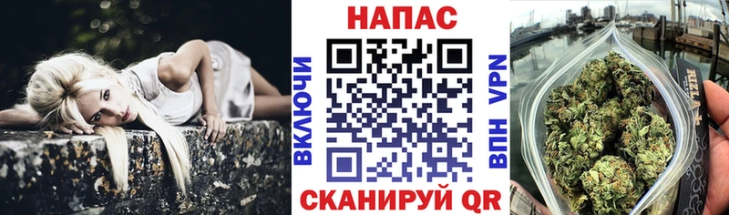 Бошки Шишки индика Крымск